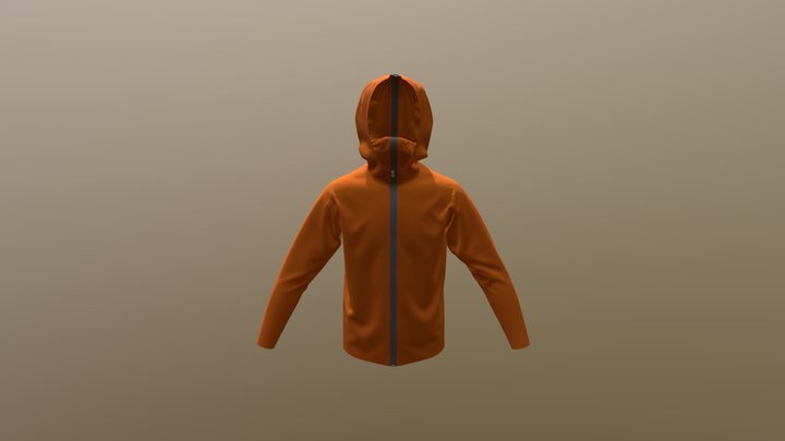 Mens Hoodie TEST 001 3D Model