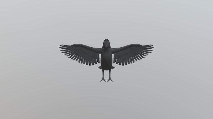 Birb Model 3D Model