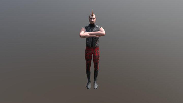 CitizenPunk1 3D Model