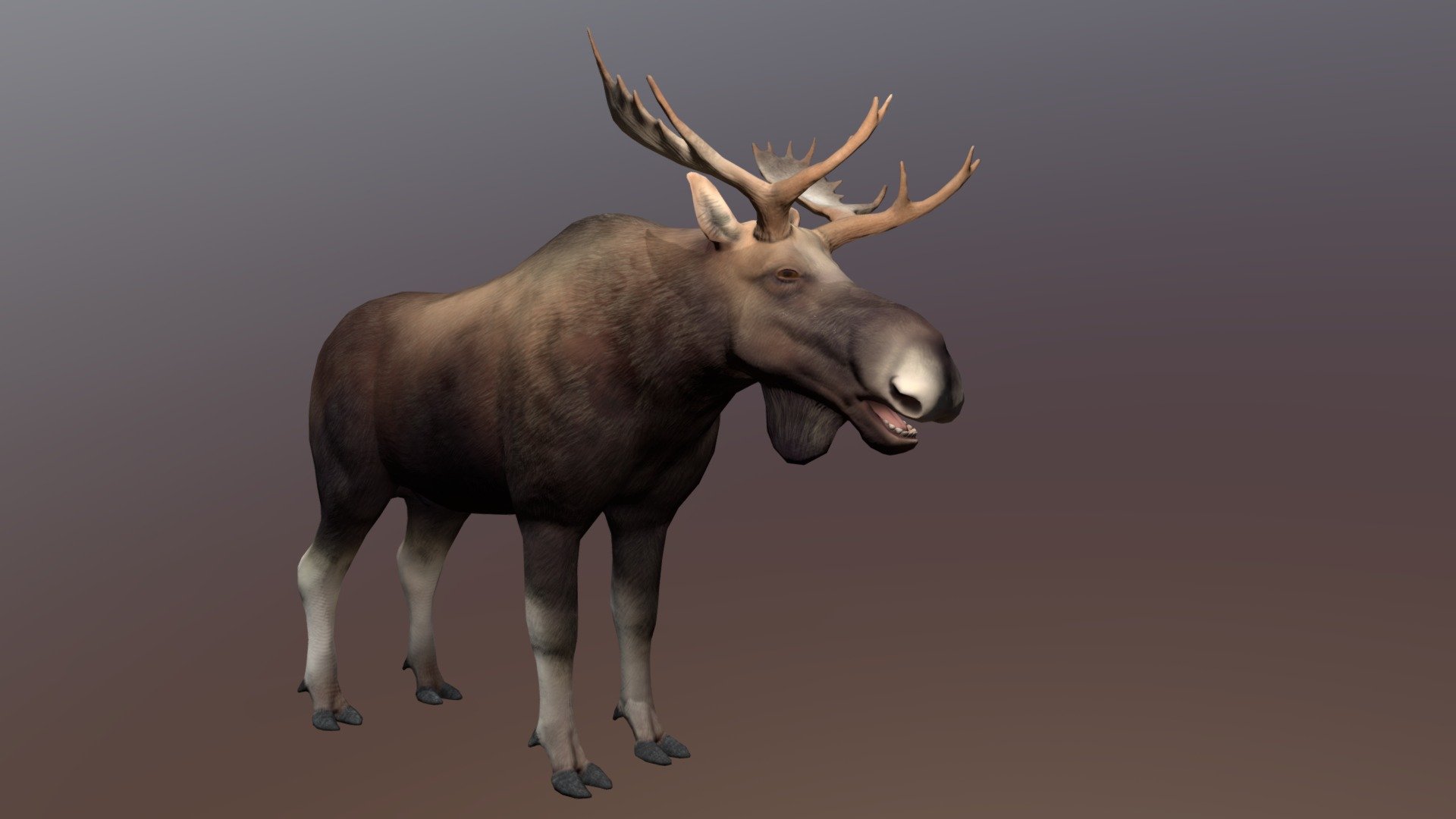 Elk - 3D model by agent4664 [096c5eb] - Sketchfab