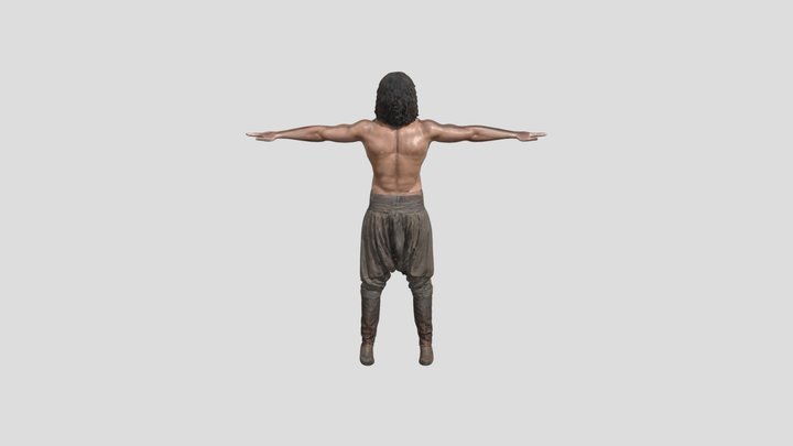 Wingspan Silhouette 3D Model