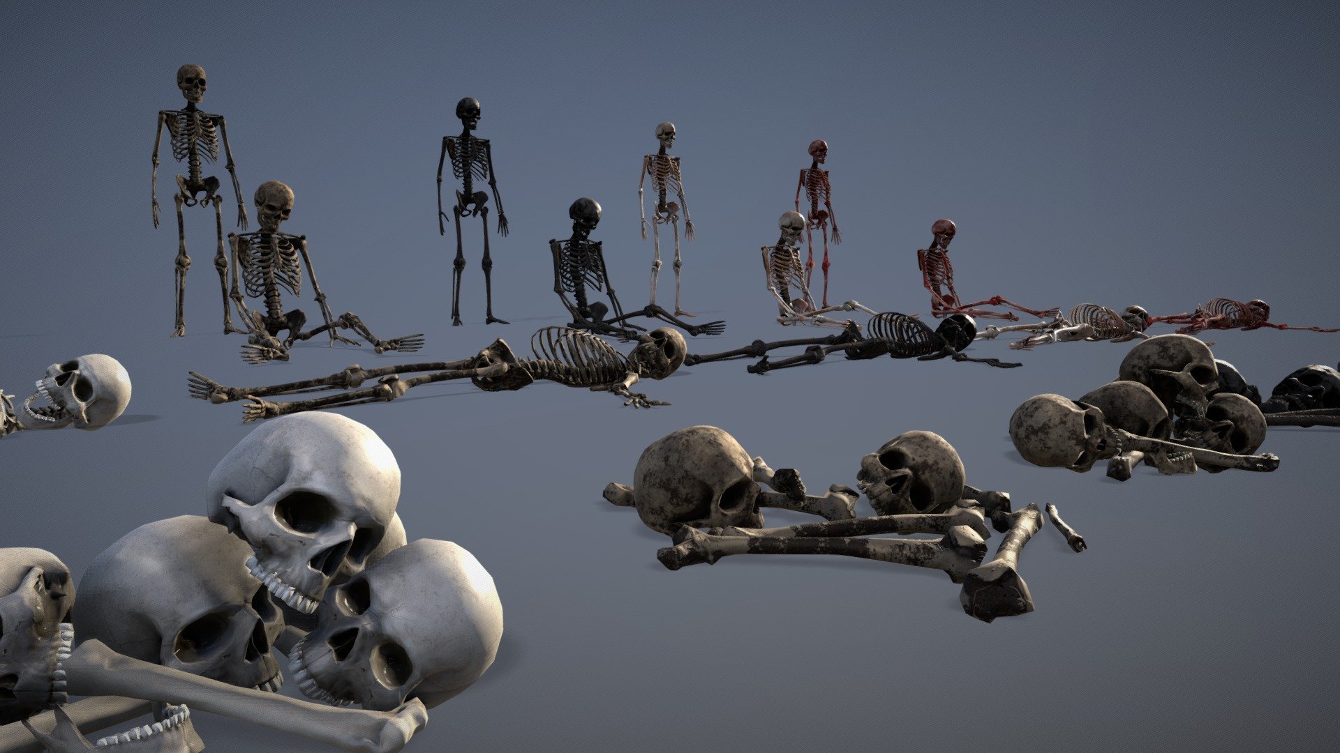 Human Bones Set