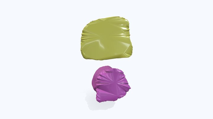 Bladder and Rectum 3D Model