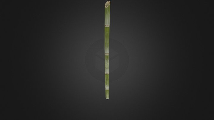 Bamboo cane 3D Model