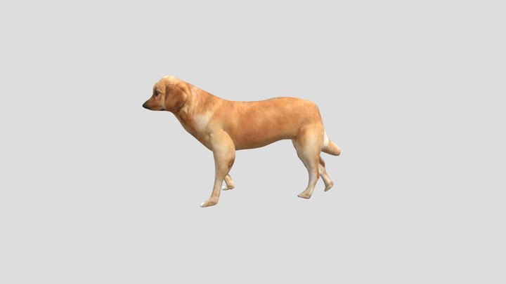 dog walk 3D Model