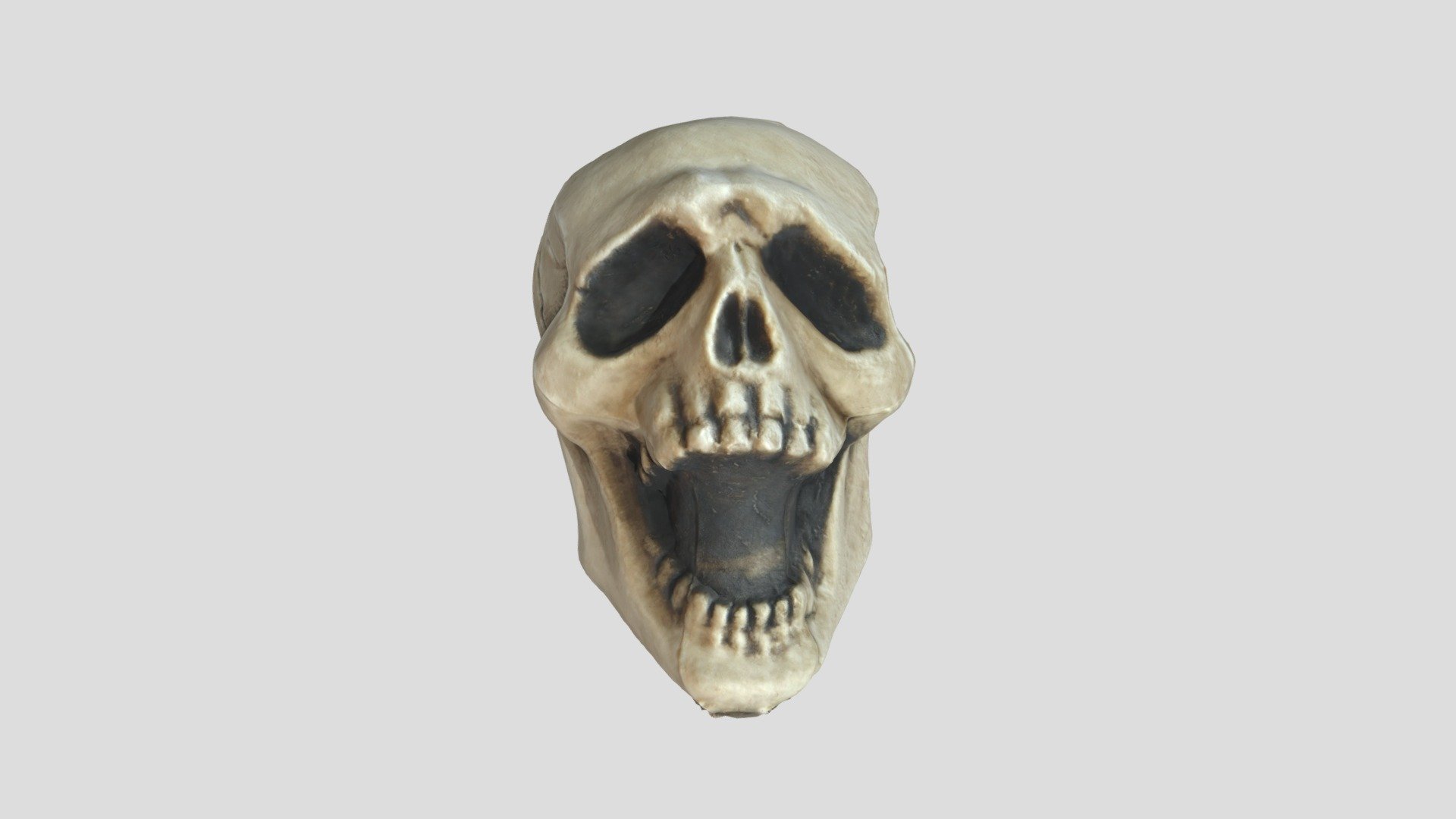 Halloween Decoration - Laughing Skull