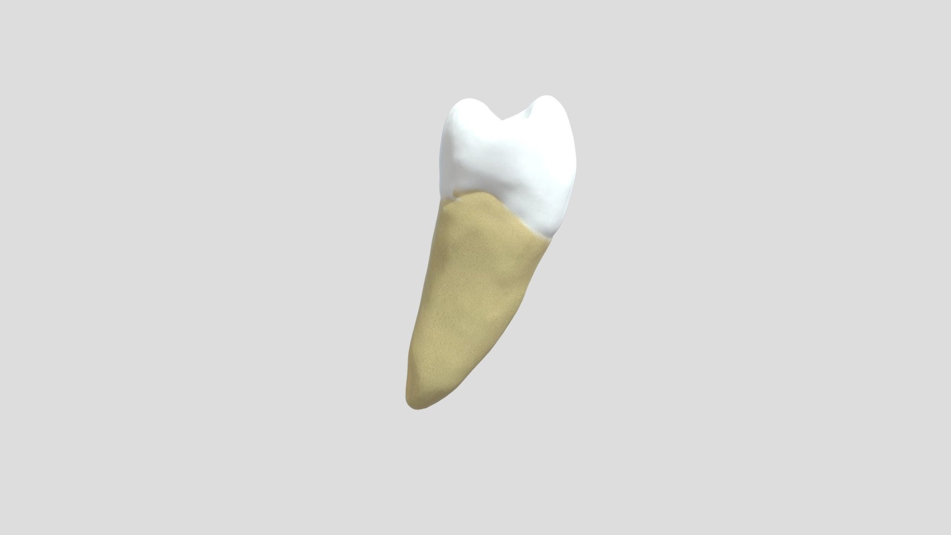 Test Tooth - 3D model by Ahmed Mahrous (@drahedmahrous) [0977f93 ...