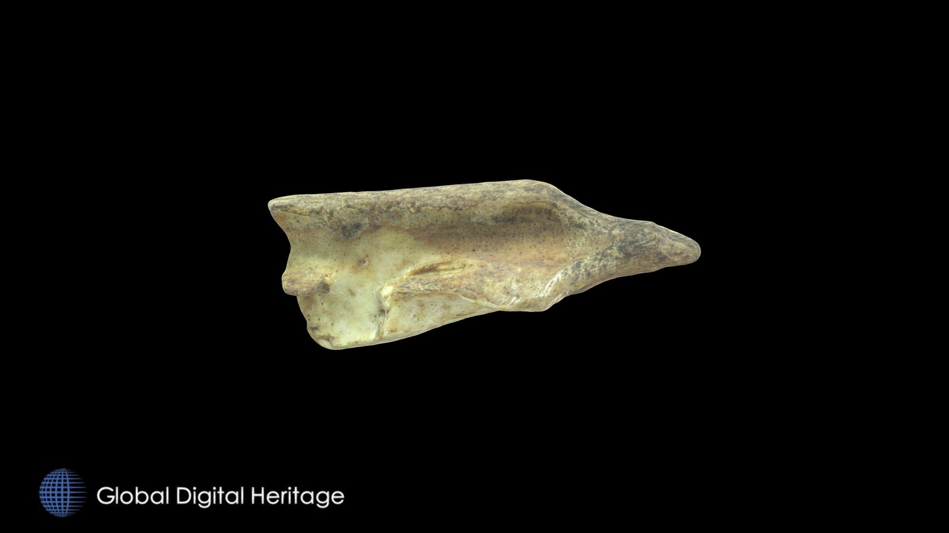 Bone Awl, Caribou Metapodial XCB-105-4007