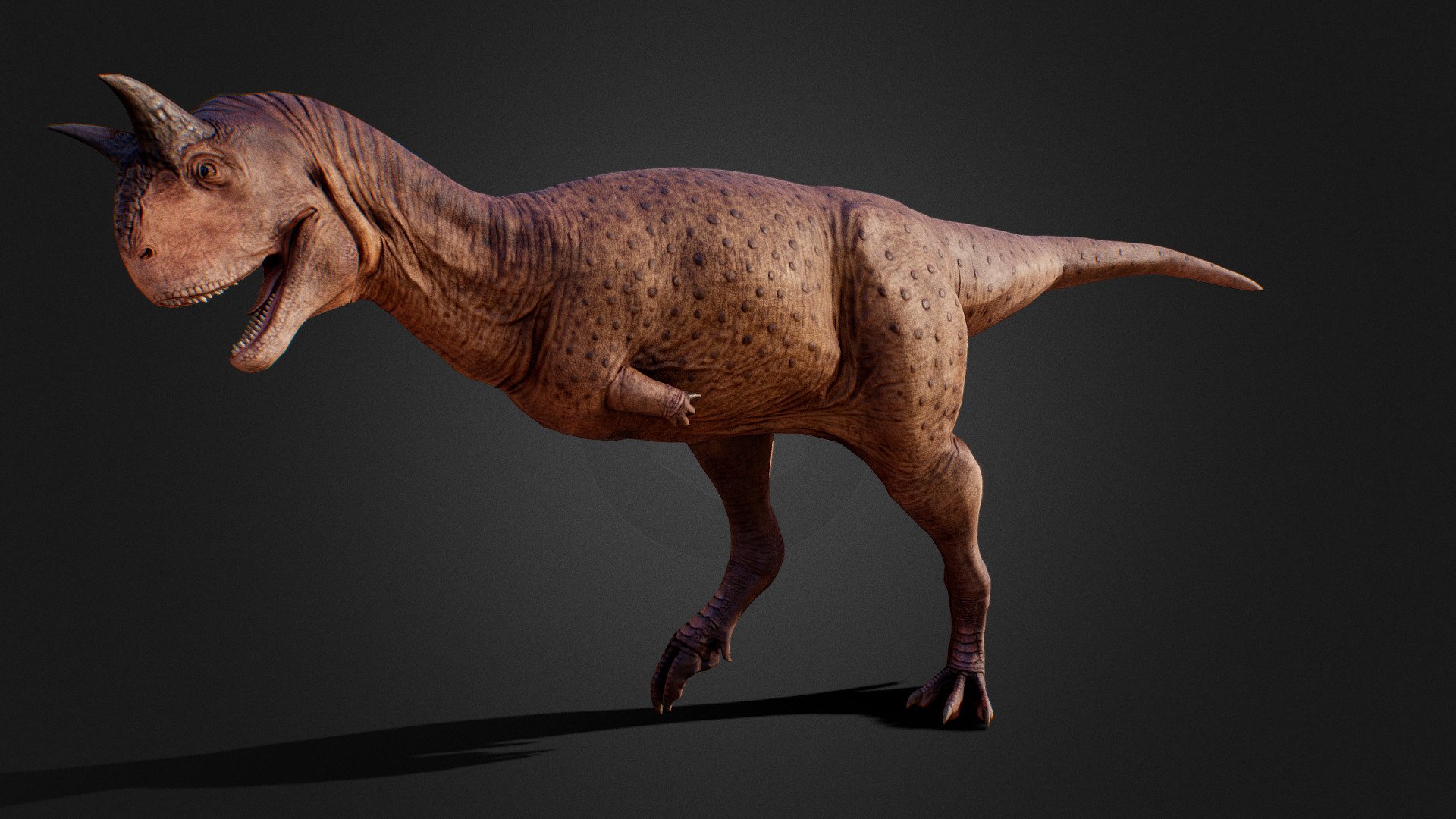 Carnotaurus V3 - 3D model by cafnir [097bda6] - Sketchfab