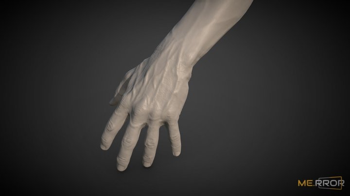 Realistic Male Hand and Arm 3D Model
