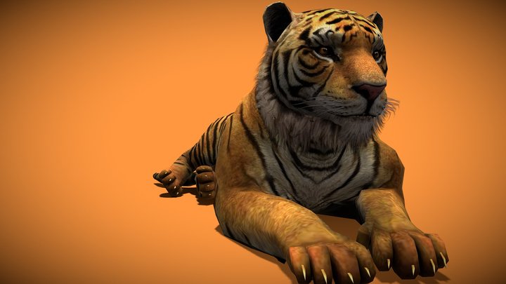 Filhote de tigre Modelo 3d