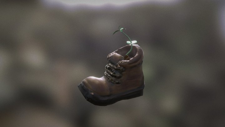 Zapato Con Planta 3D Model