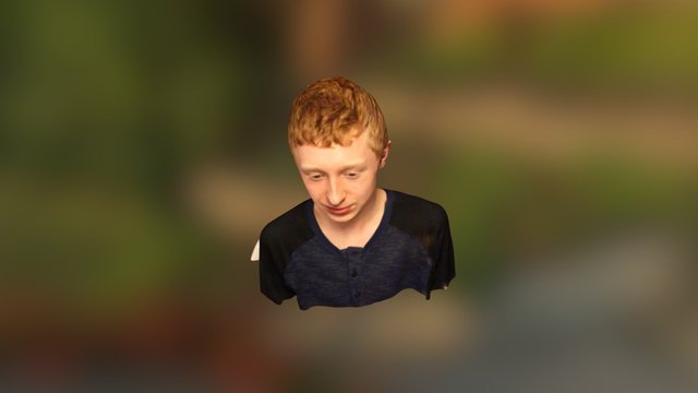 David 3D Model