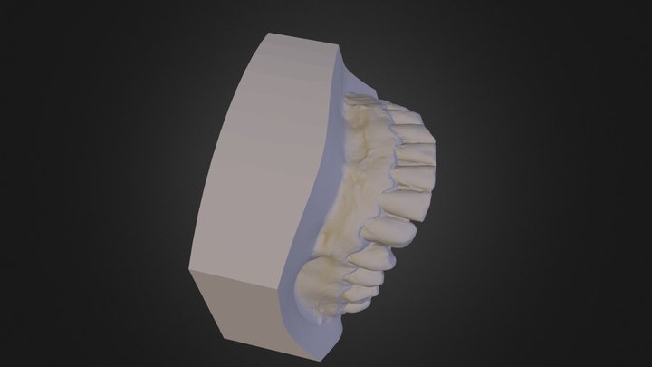 Mandibulary Export 3D Model