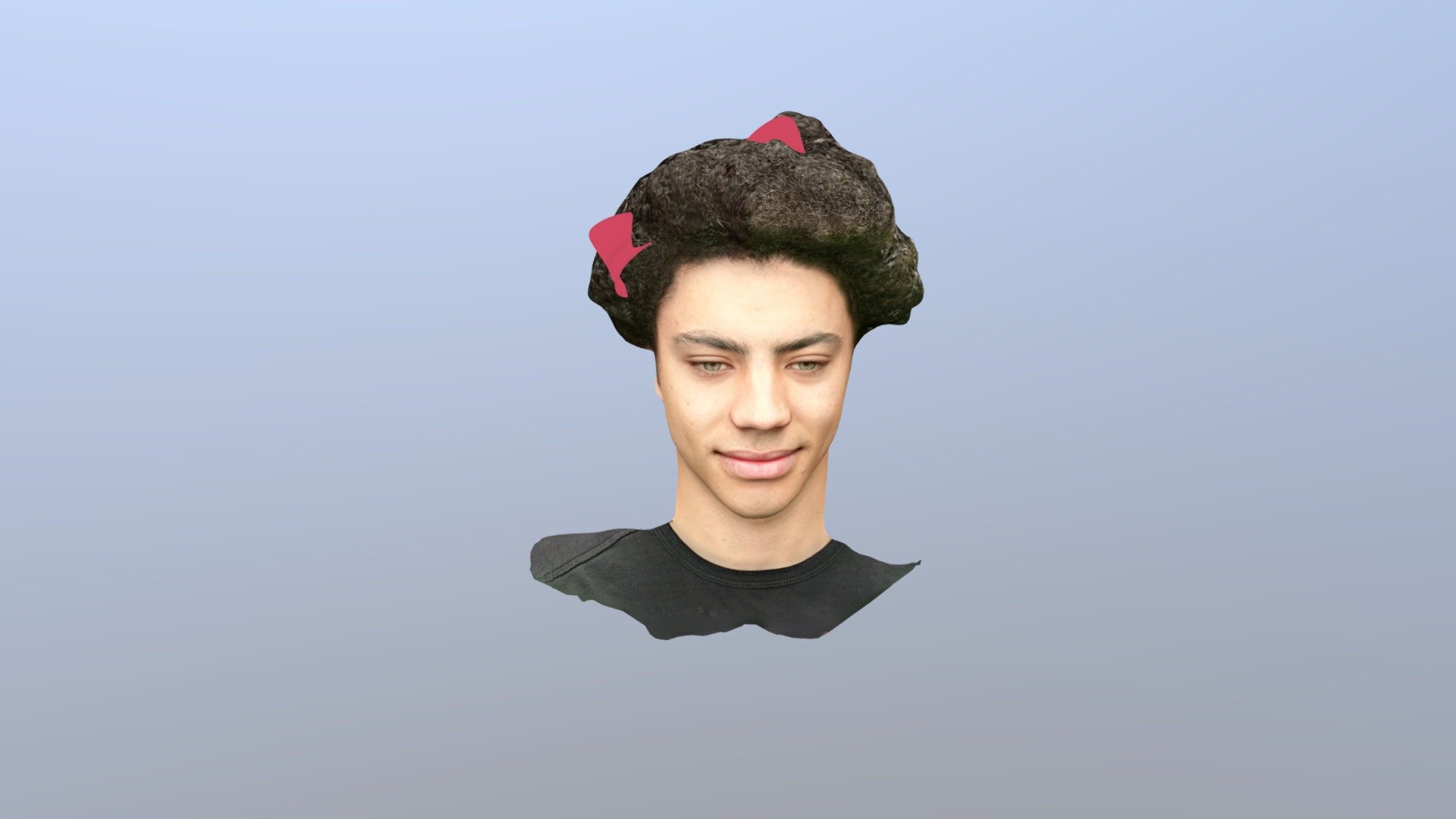 Face scan example