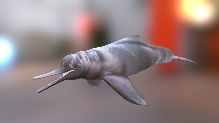 River Dolphin by Eryel & zerosvalmont 3D Model