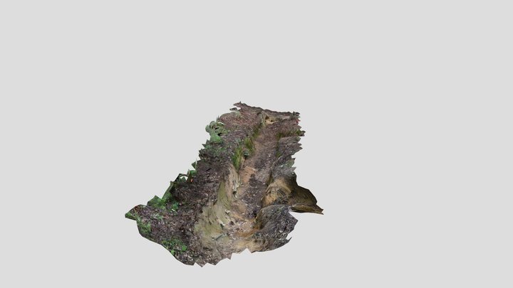 Trench Wallbefore 3D Model