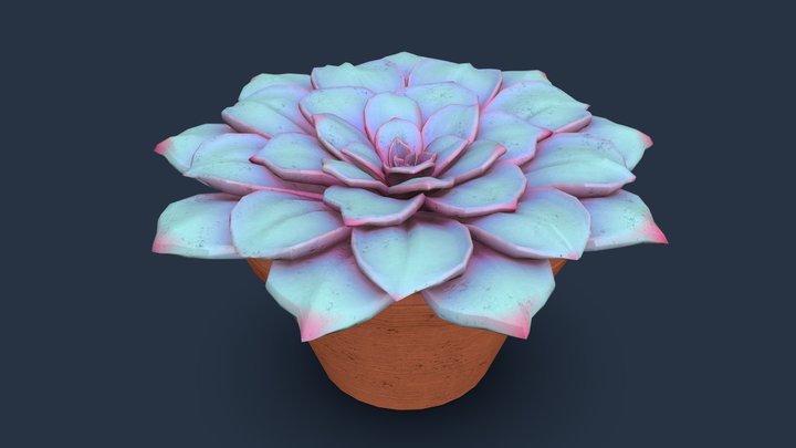 Succulent 3D Model