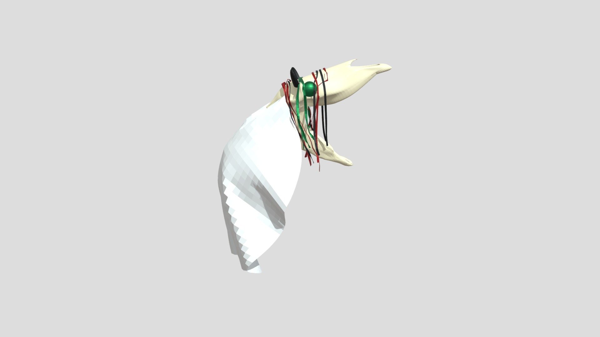 Mari Lwyd