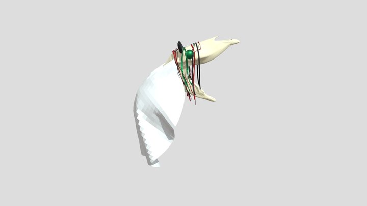 Mari Lwyd 3D Model