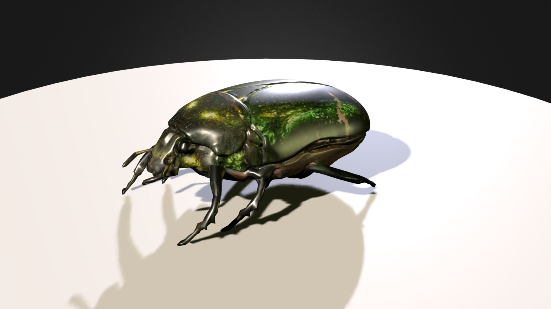 3D model Maggiolino Cetonia Aurata – Animazione - This is a 3D model of the Maggiolino Cetonia Aurata - Animazione. The 3D model is about a green beetle on a white surface.
