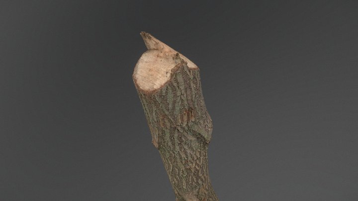 Willow log palisade 3D Model