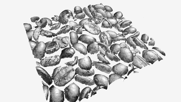 Ensenso B Coffee Beans 3D Model