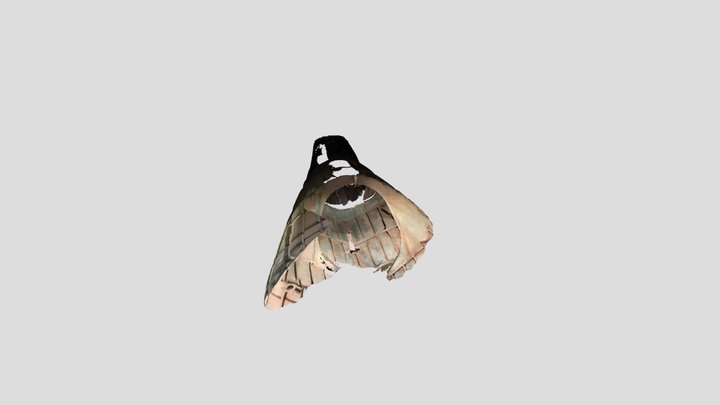 catalina tail 3D Model
