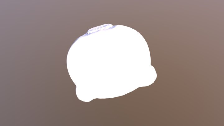 Test scan 3D Model