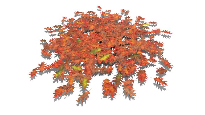Realistic HD Red oak leaf litter (13/36) 3D Model