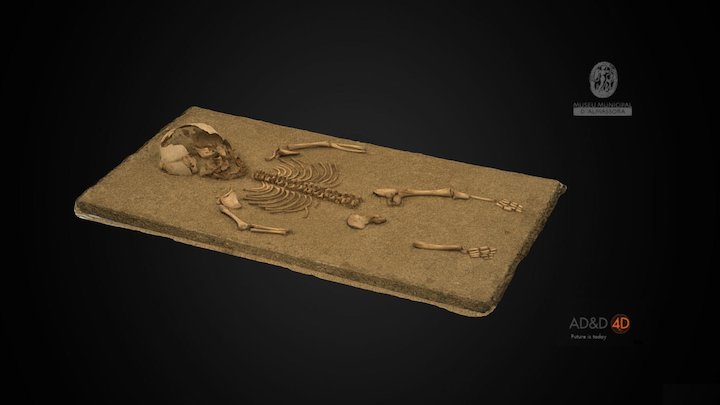 Enterrament infantil /100XXX 3D Model