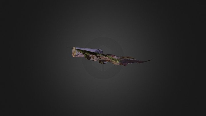 Ageston archaeological dig site 3D Model