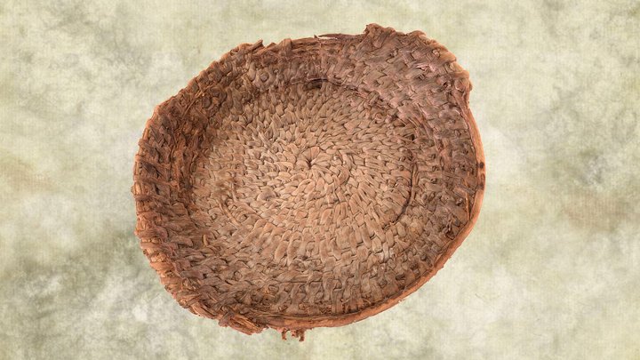 Archaic Basket: Delta County, CO (5DT813) 3D Model