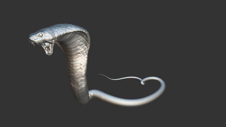 Realistic angry attack cobra 3D Model