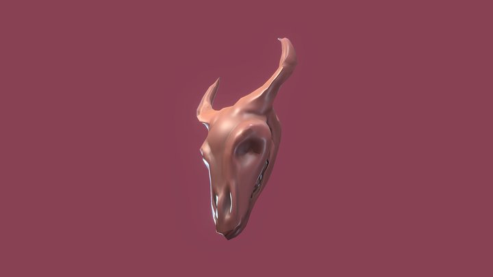 Animal_Skull_School 3D Model