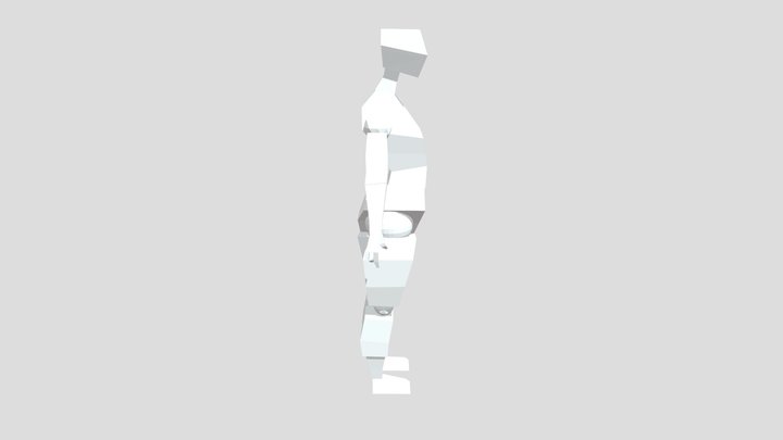 Human 3D Model