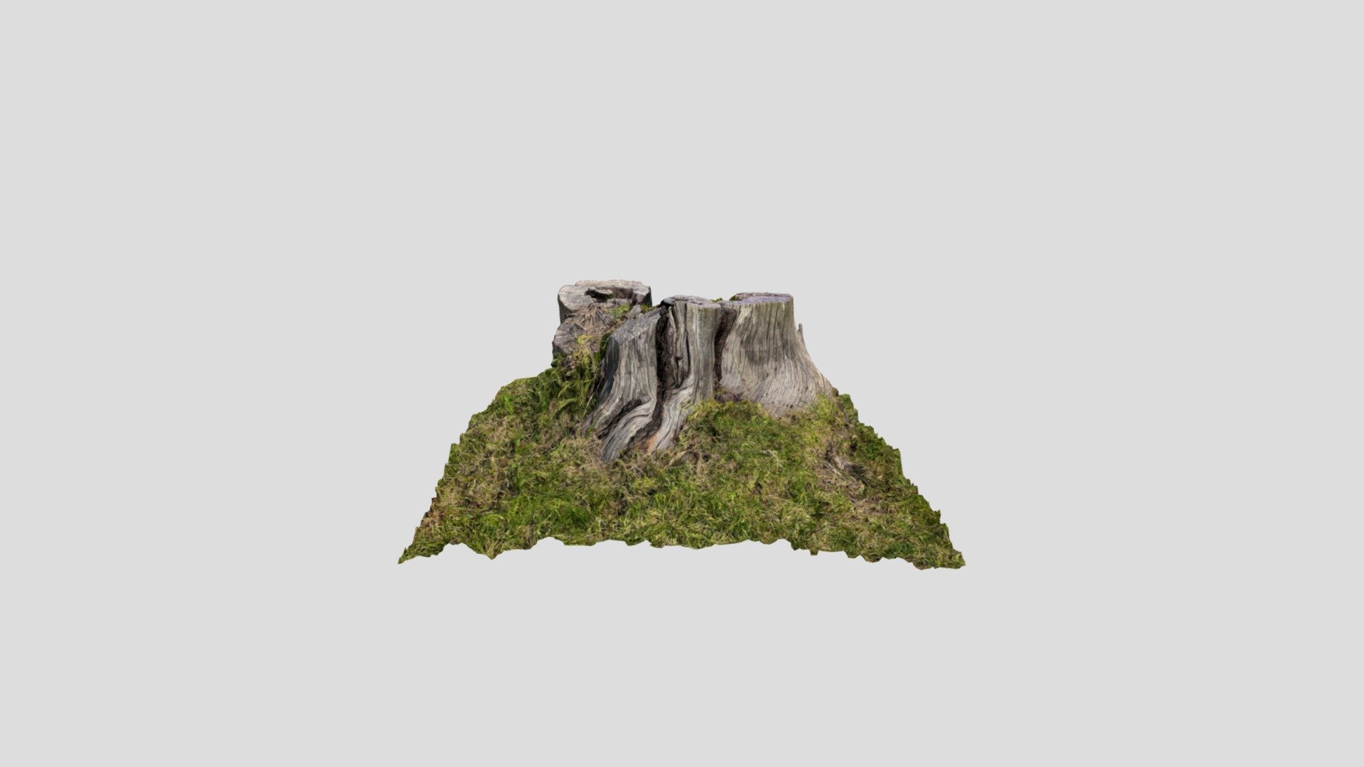 Tree Stump photogrammetry - Download Free 3D model by chrispviews1 ...