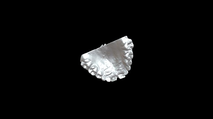 diente 3D Model