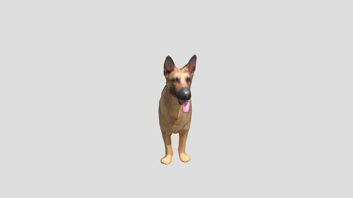 Germa Shepherd 3D Model