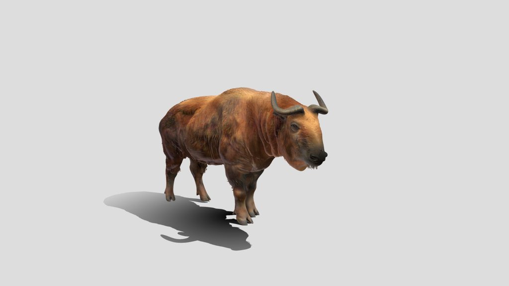 Crimson Bison