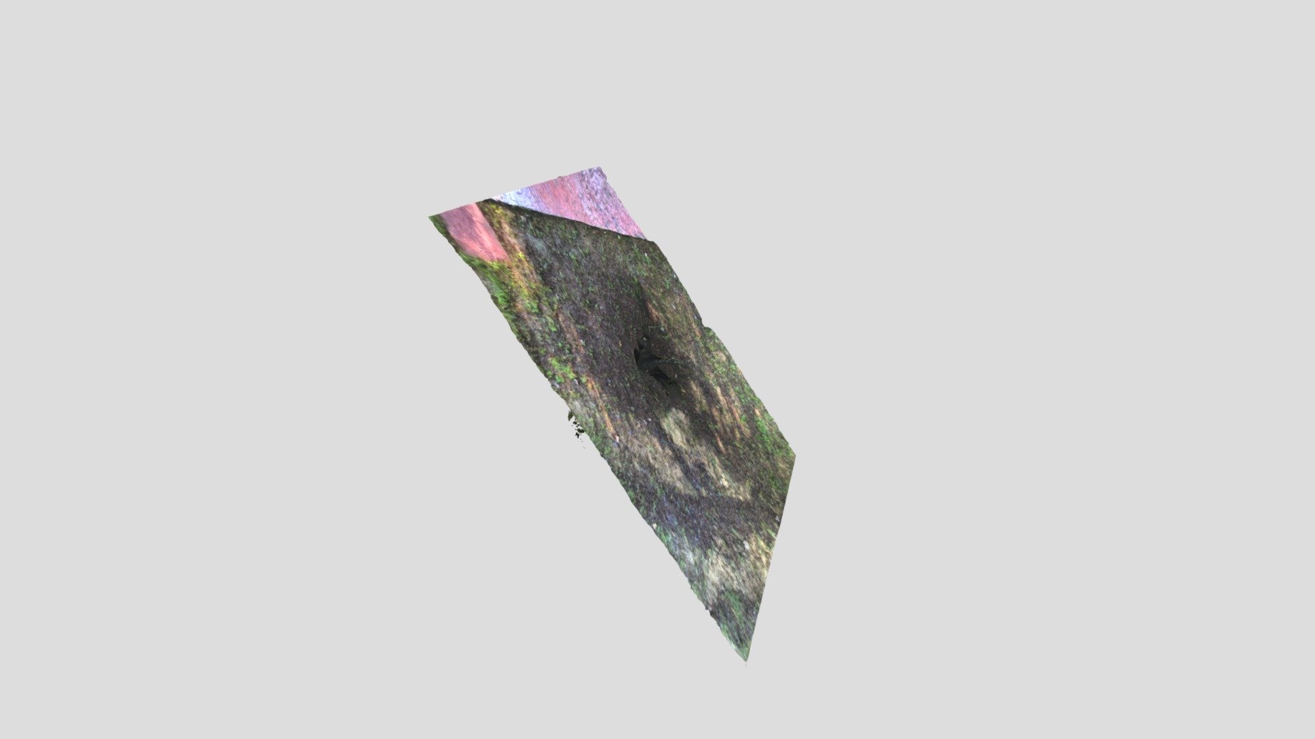 NONSCHOOL_GECKO