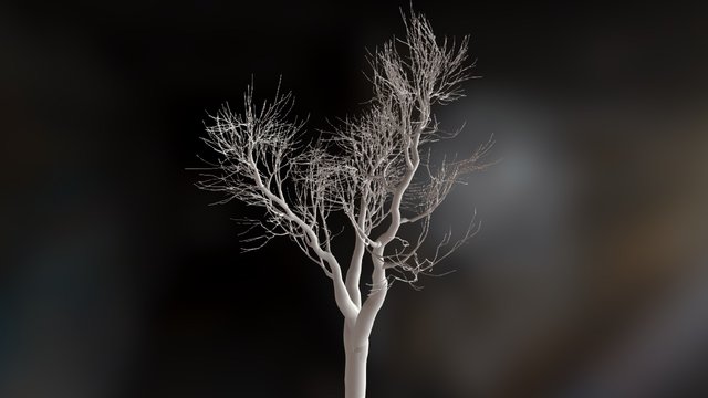 ZBrush leafless tree 3D Model