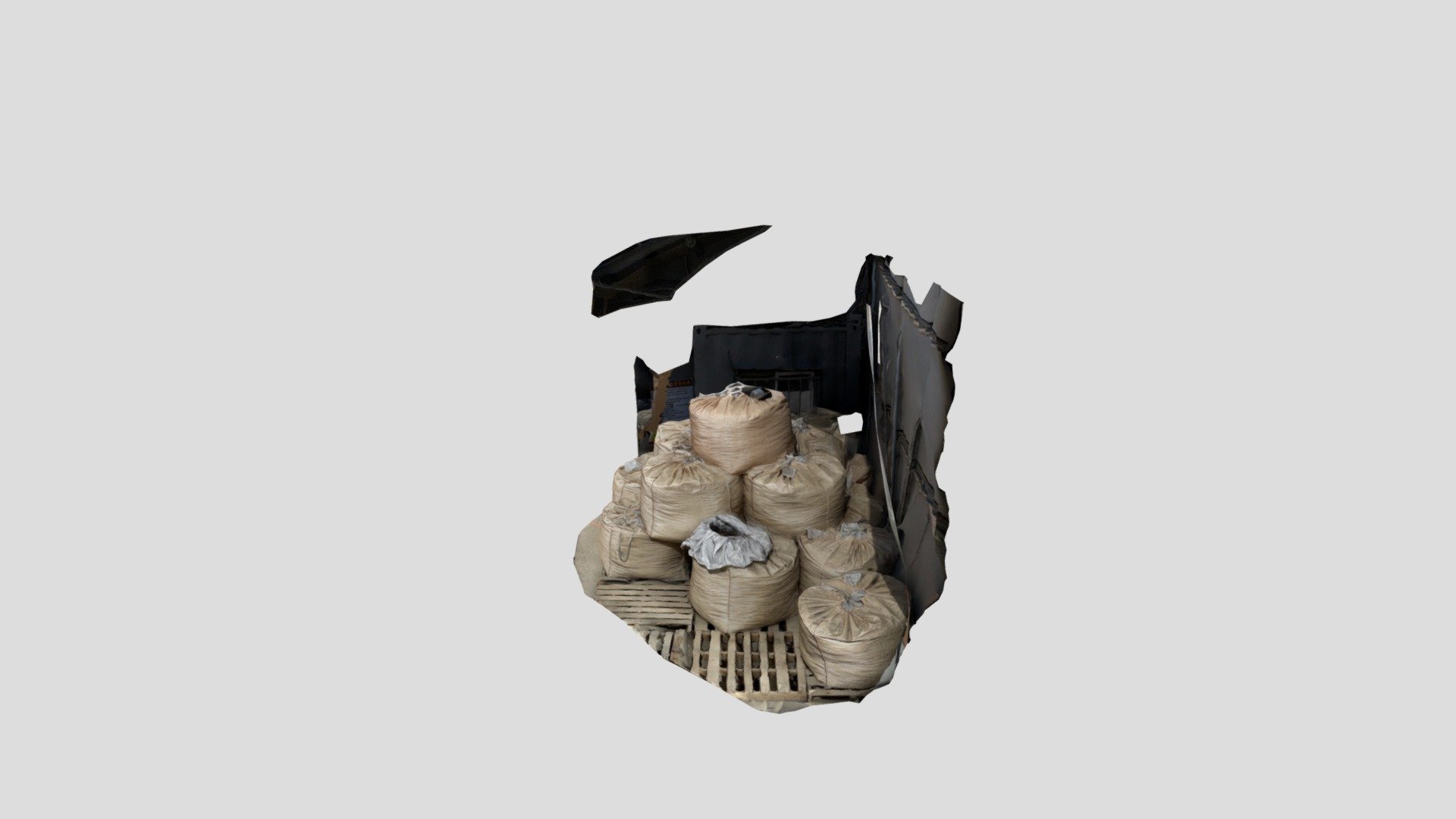 Polycam capture