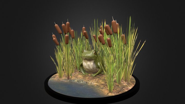 Frog in the swamp 3D Model