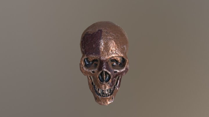 Rusty Skull 3D Model