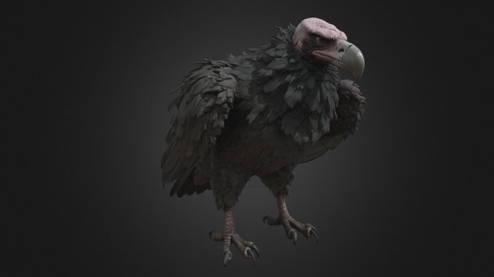 Dark Vulture – Scarred Bald-Headed Horror Bird – Modelo 3D gratuito STL