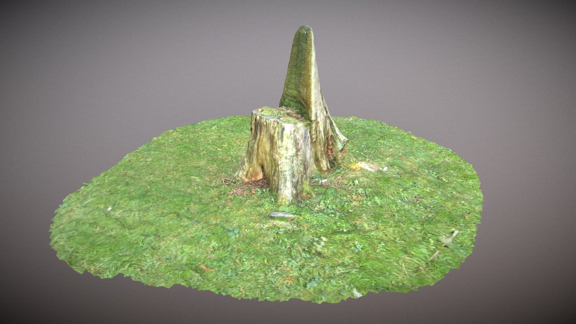 Stump at St Margaret's, Binsey