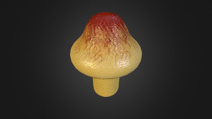 Mushroom 2 3D Model