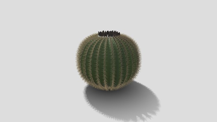 desert plant kit cactus 1 3D Model