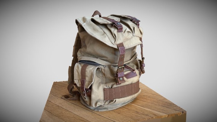 Camera Bag - Backpack - RealityScan 3D Model